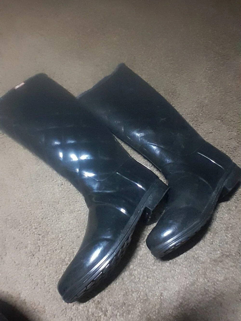 Hunter classic tall